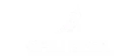 chili piper logo